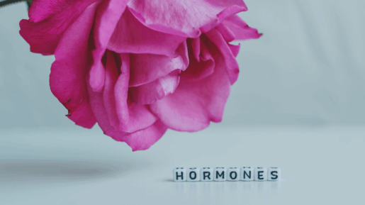 równowaga hormonalna